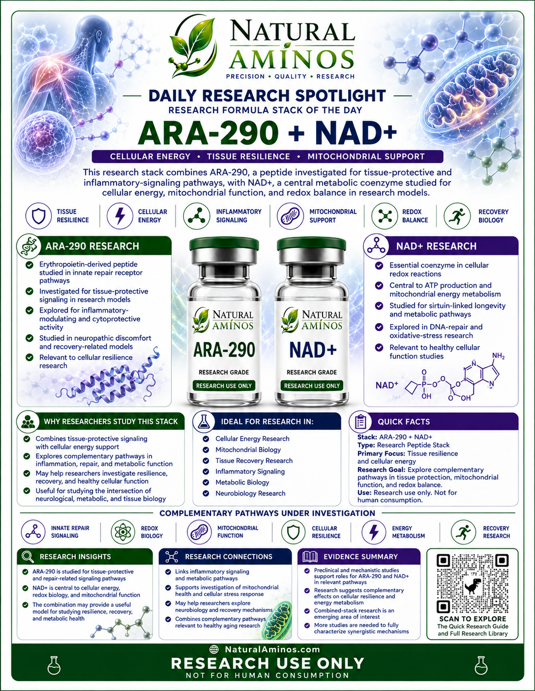 ARA290 + NAD+ research graphic